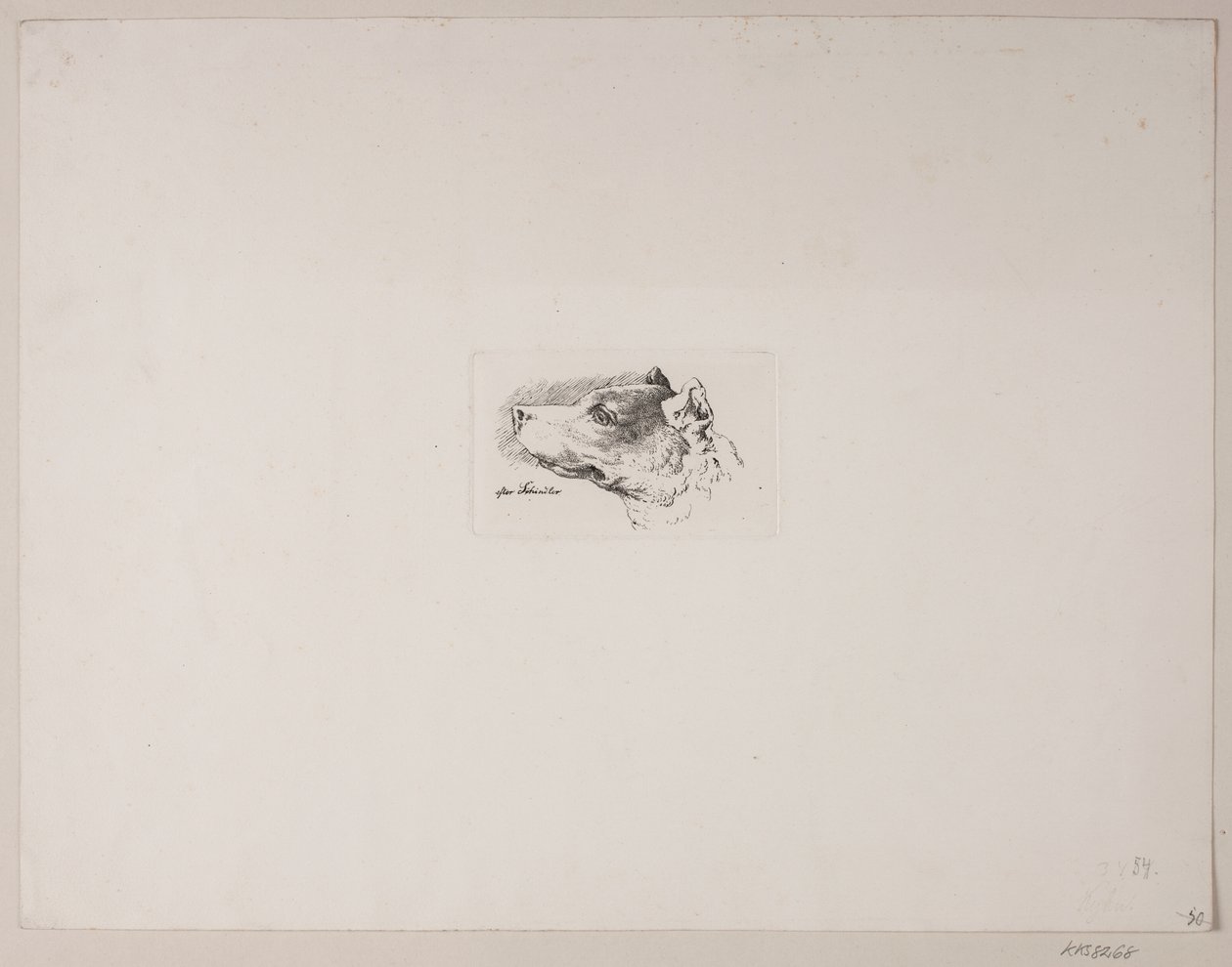 köpek kafası by Vilhelm Kyhn