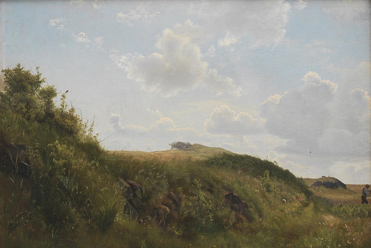 Rørvig'de Haziran günü by Vilhelm Kyhn
