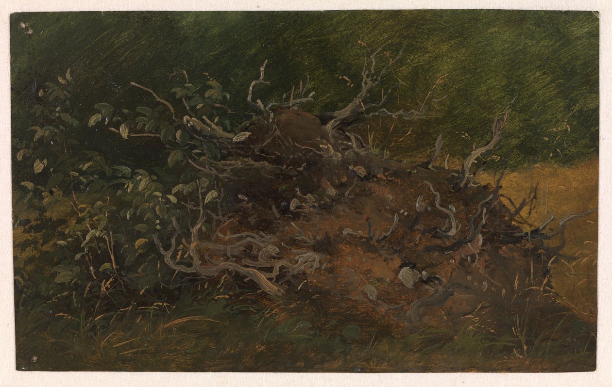 Ağaç Kütüğü Çalışması by Vilhelm Petersen