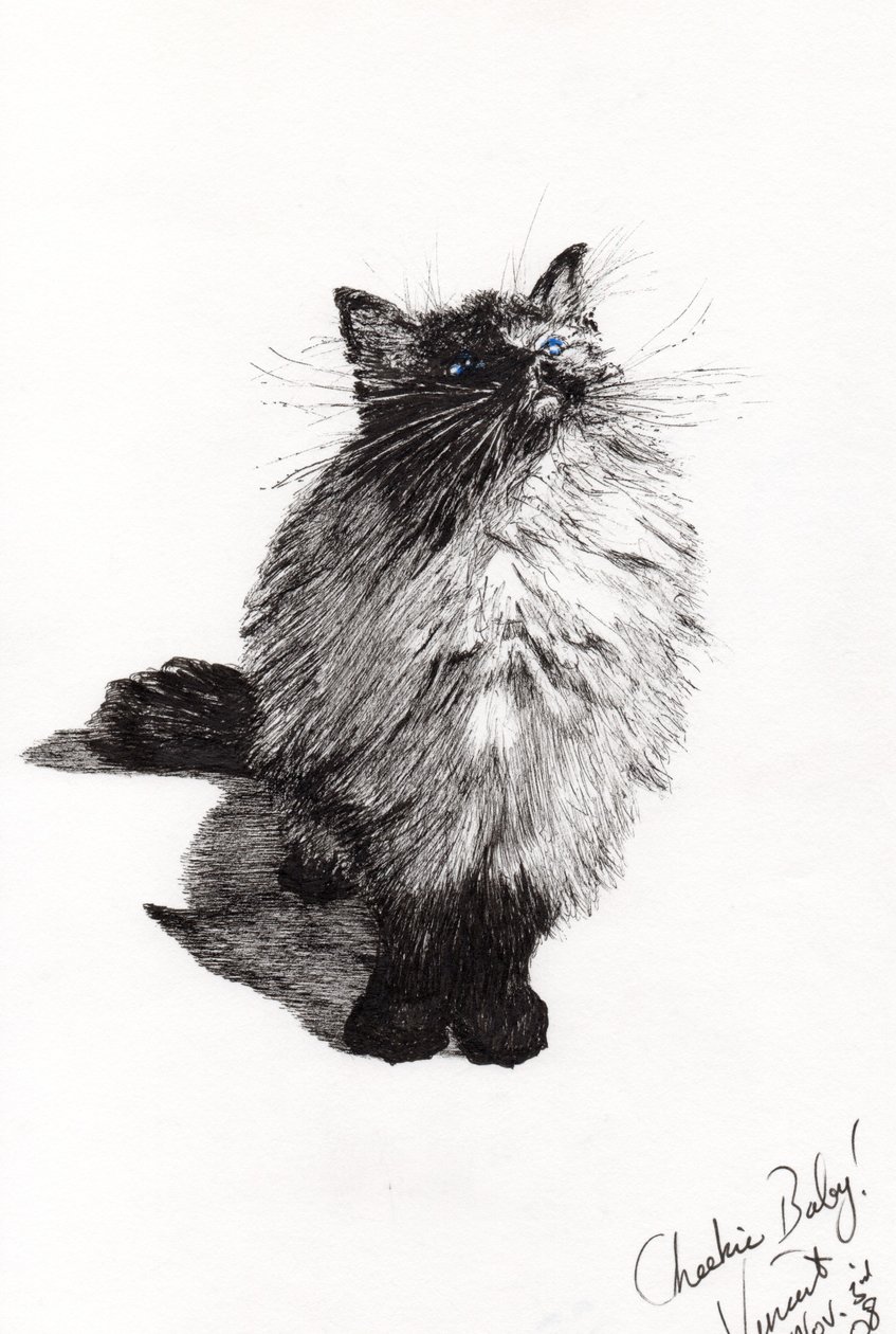 elmacık bebek, 2008, (kağıt üzerine mürekkep) by Vincent Alexander Booth