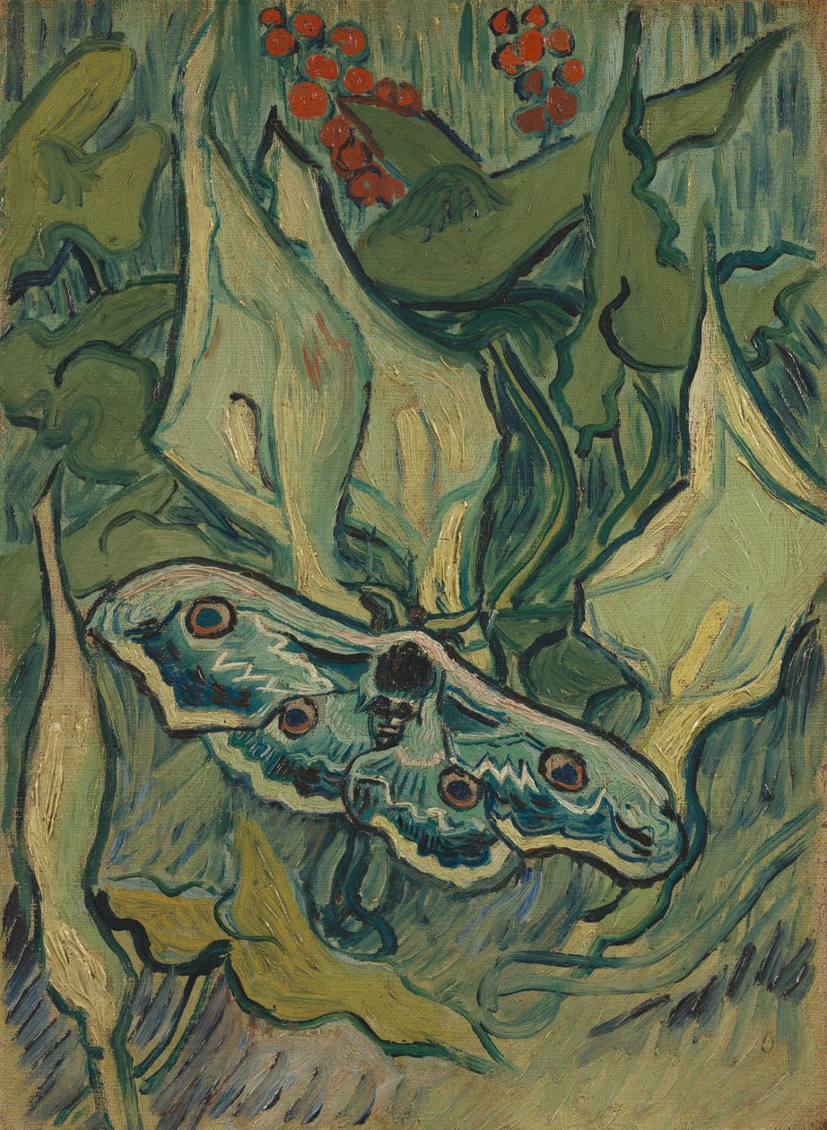 Dev Tavus Kuşu Güvesi by Vincent van Gogh