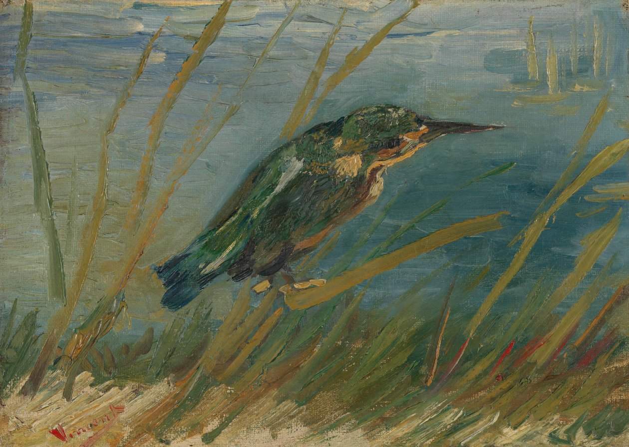 Yalıçapkını by Vincent van Gogh