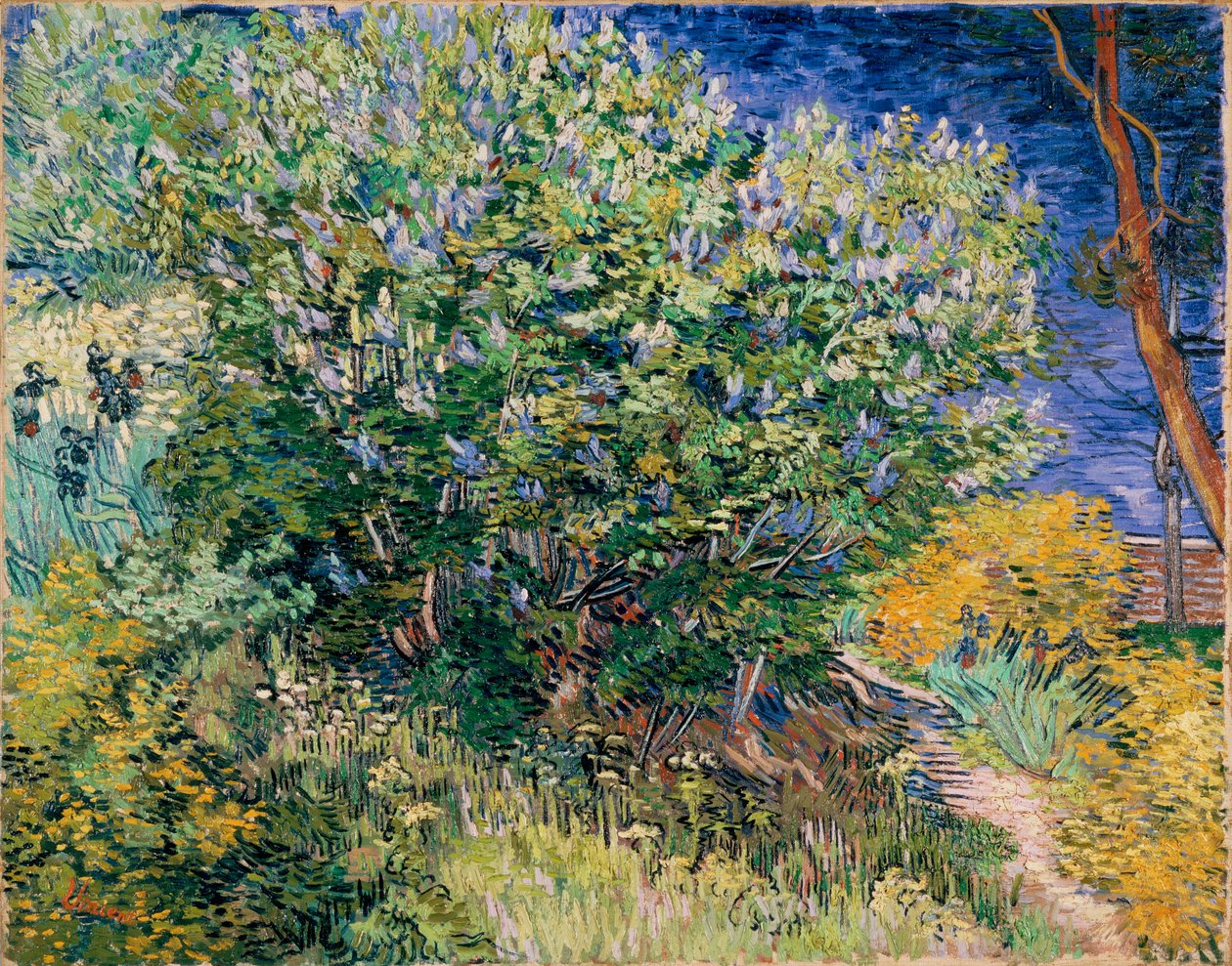 Leylak Çalı (Leylaklar) by Vincent van Gogh