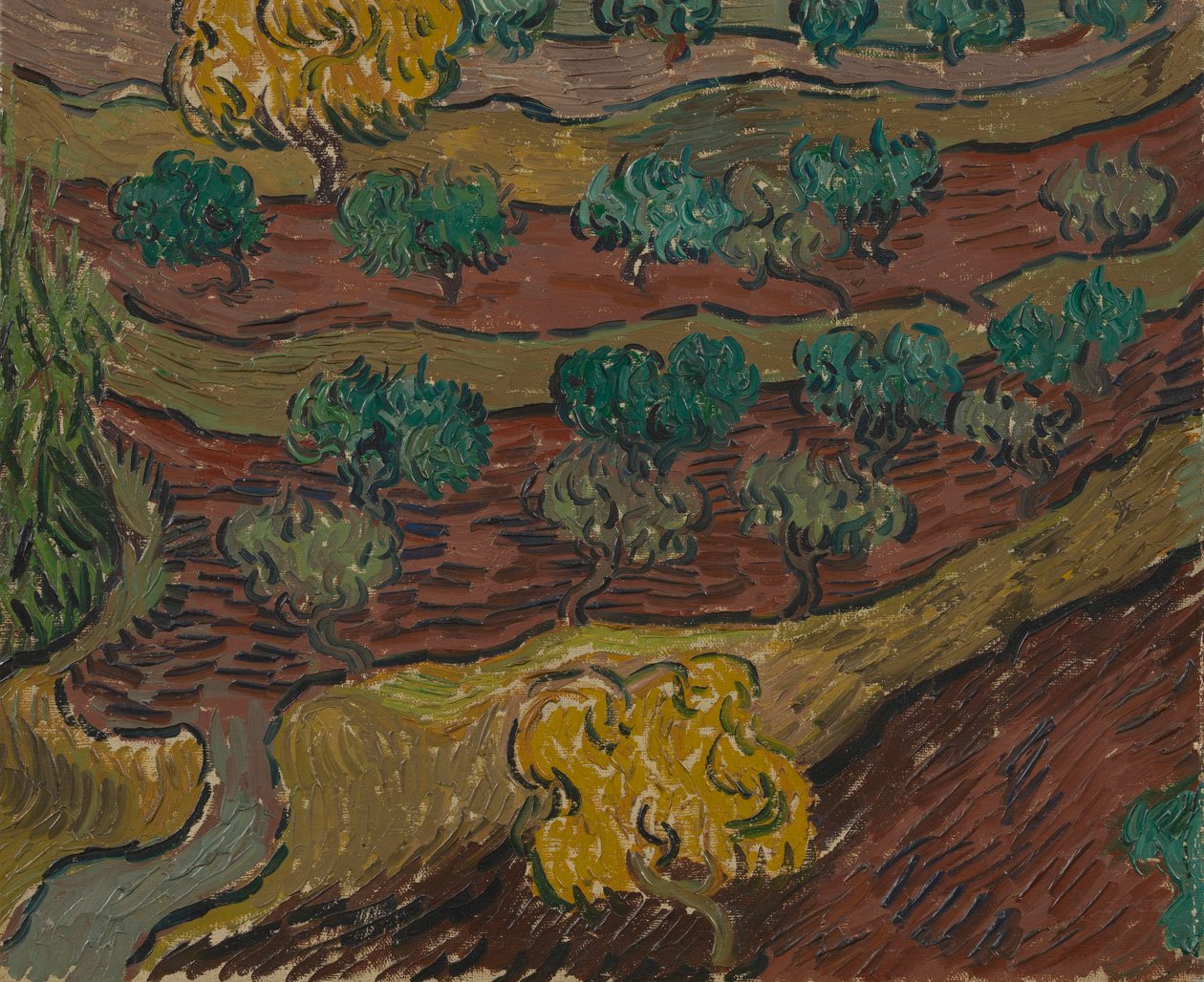 Olive Trees on a Hillside by Vincent van Gogh