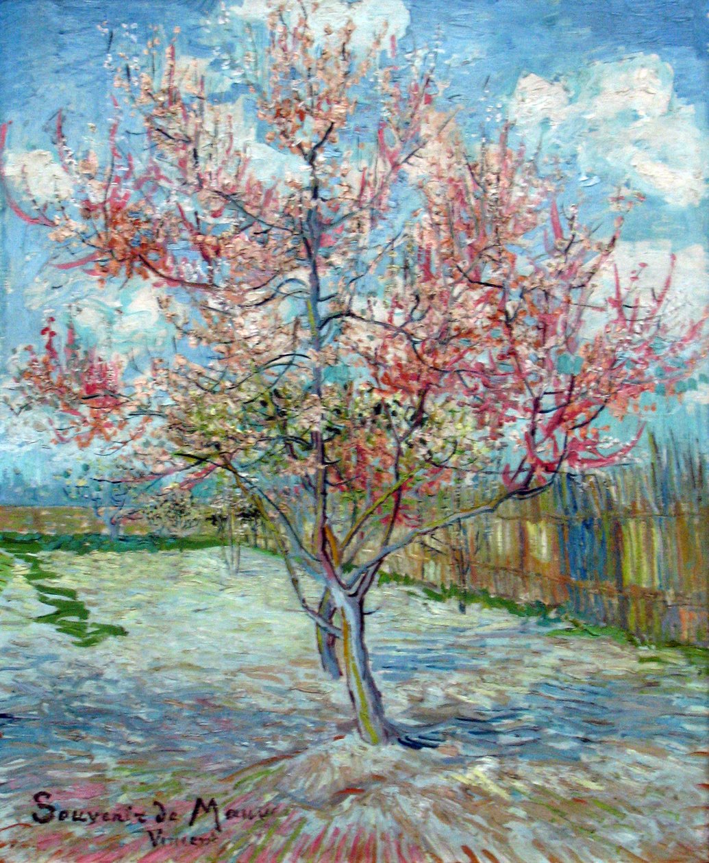 Rosa Pfirsichbäume (Hatıra Eşyası) by Vincent van Gogh