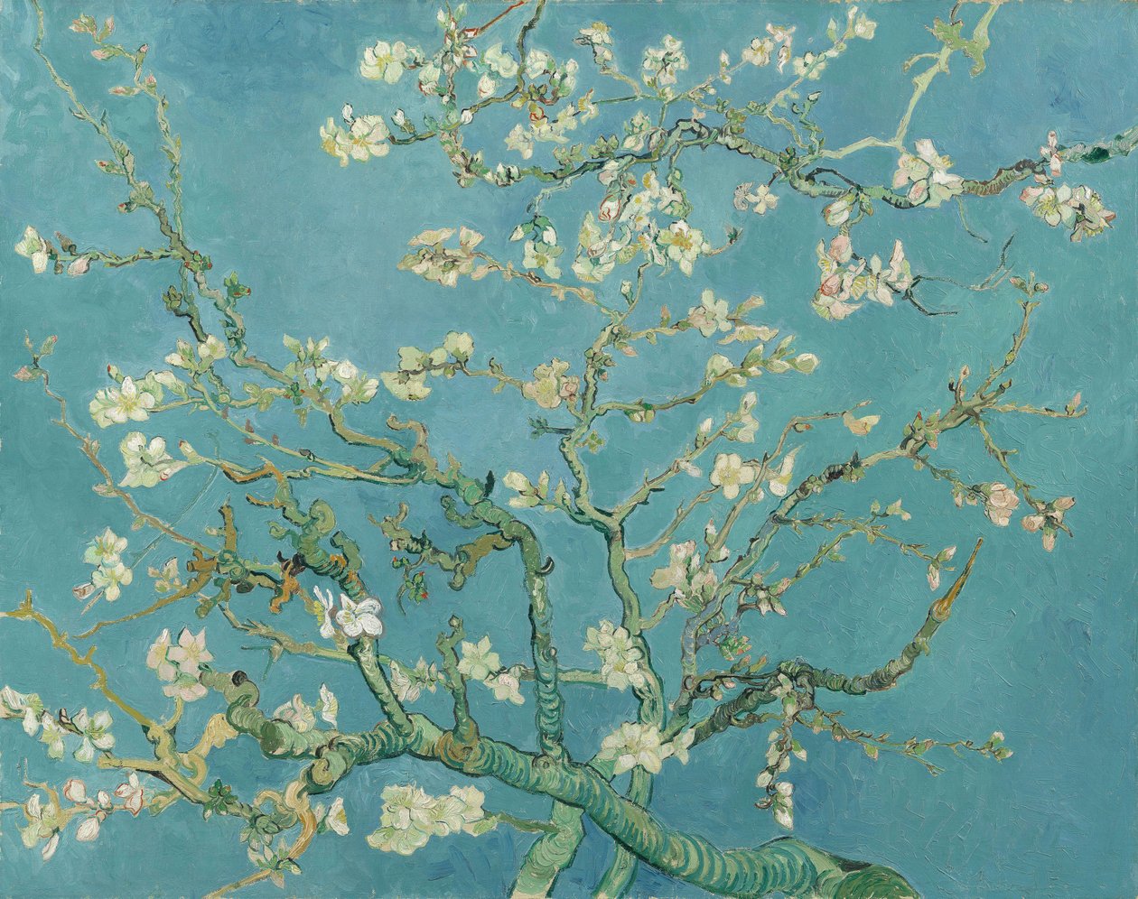 Badem çiçeği by Vincent van Gogh