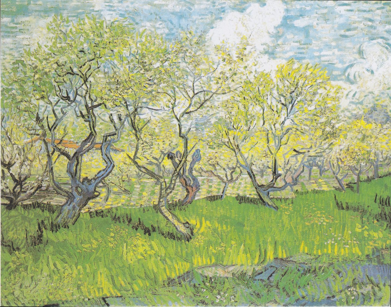 çiçek açan meyve bahçesi 3 by Vincent van Gogh