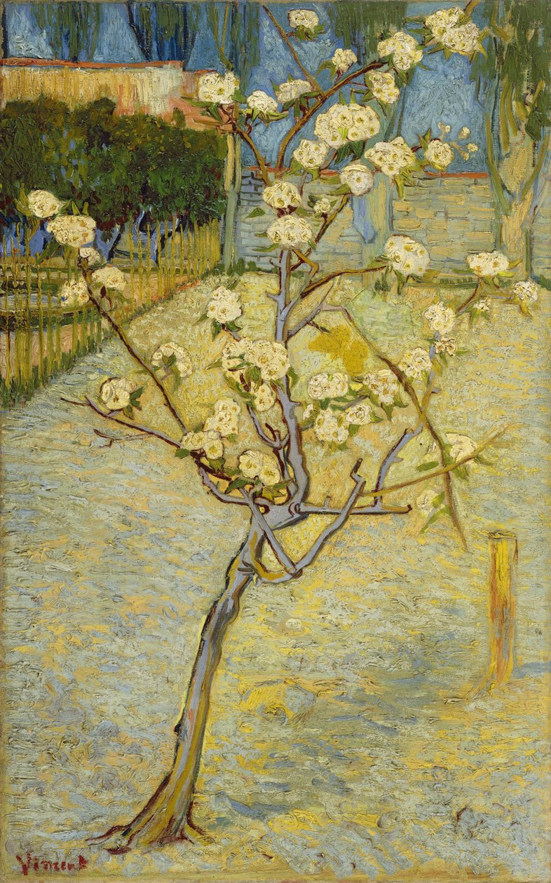 çiçekli armut ağacı by Vincent van Gogh