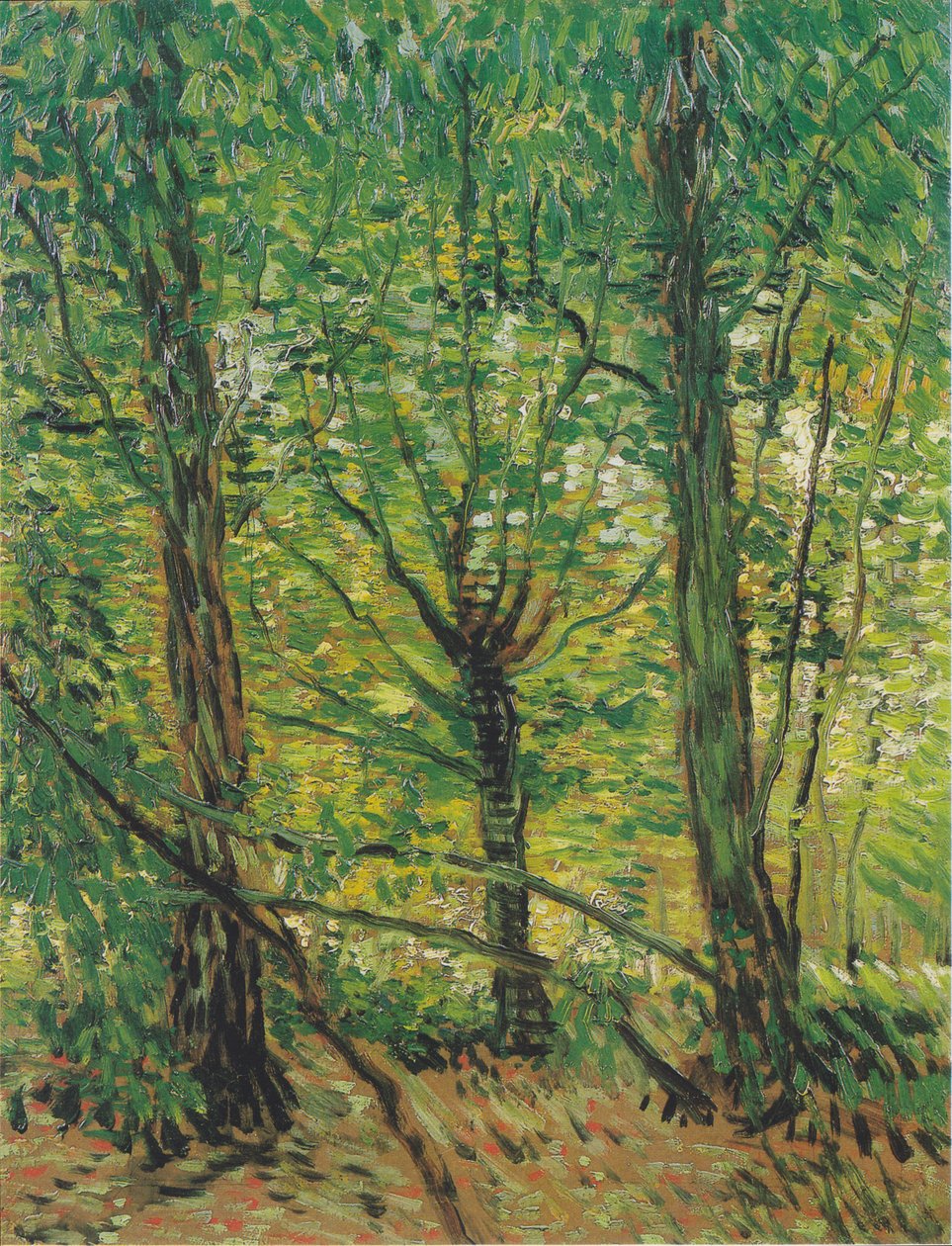 Ağaçlar ve çalılar by Vincent van Gogh