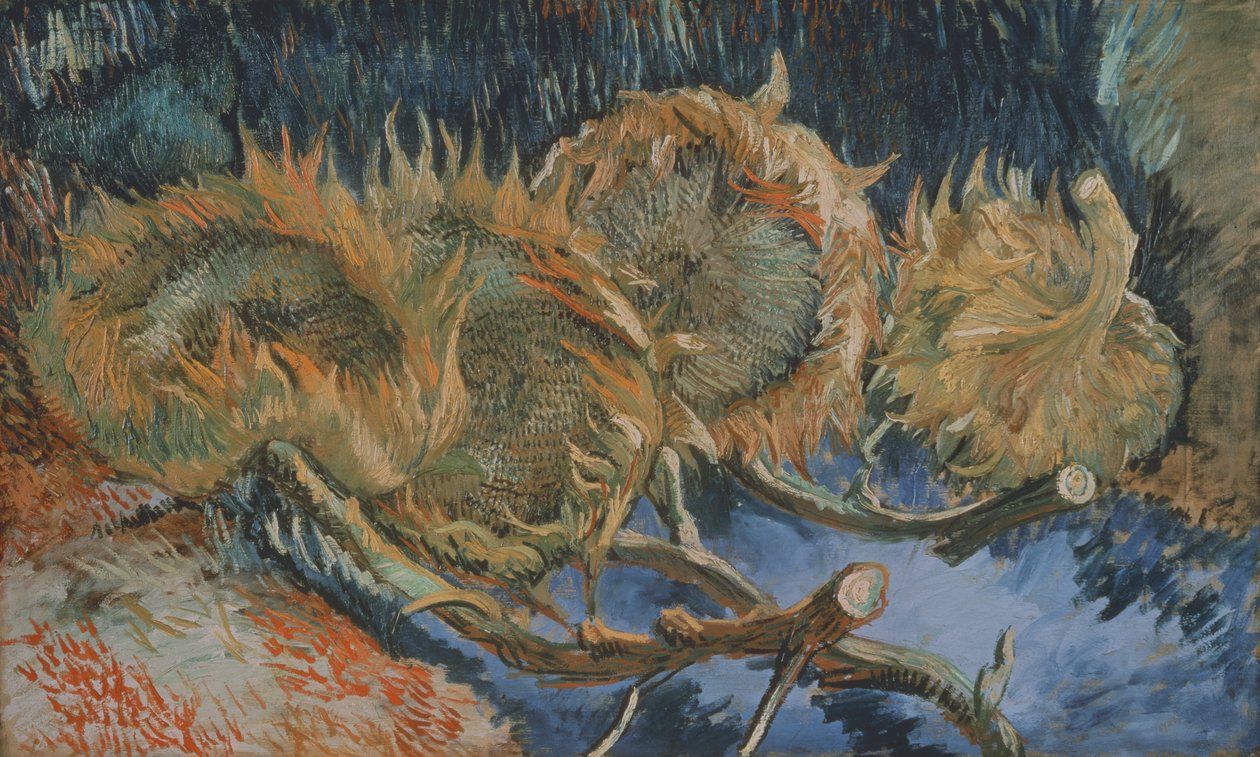 Dört Solmuş Ayçiçeği, 1887 by Vincent van Gogh