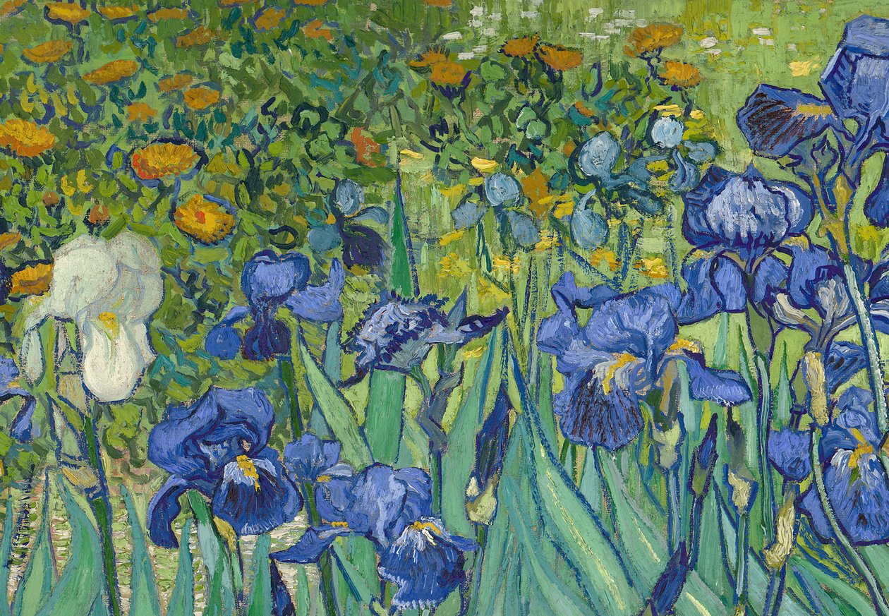 Gushidikanya Thomas by Vincent van Gogh