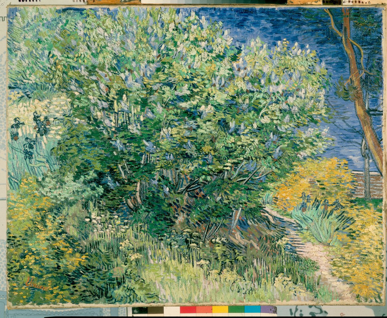 leylak çalı by Vincent van Gogh