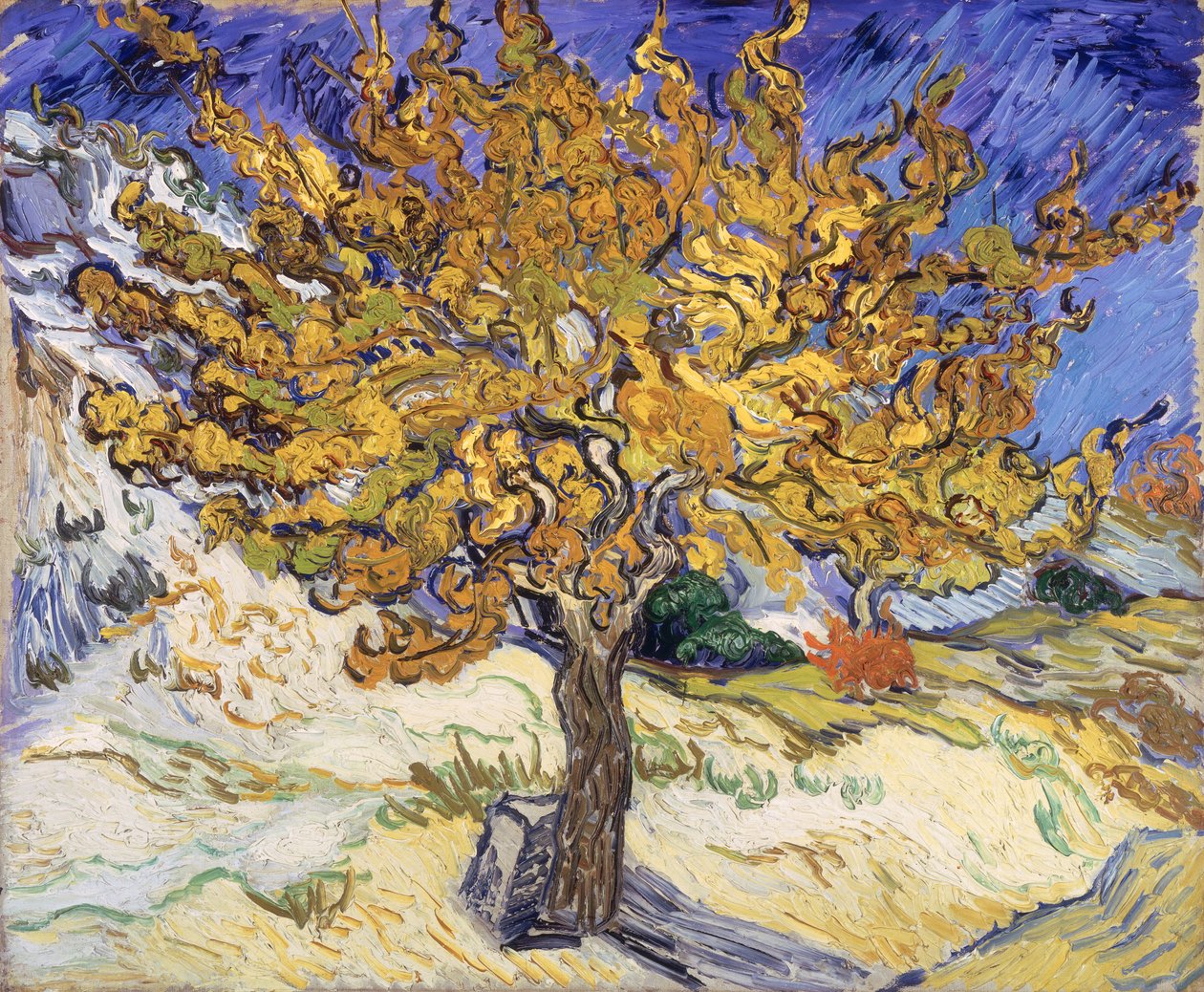 Dut Ağacı, 1889 by Vincent van Gogh