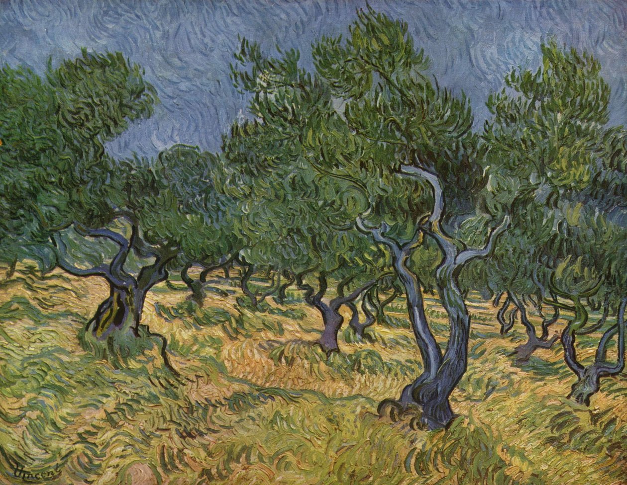 Zeytinlik by Vincent van Gogh