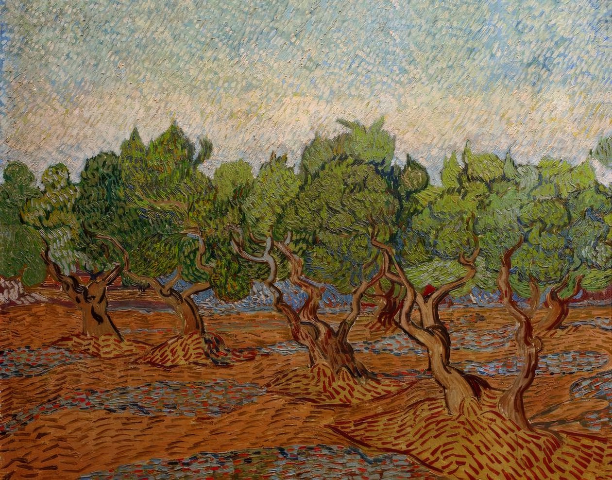Zeytinlik by Vincent van Gogh