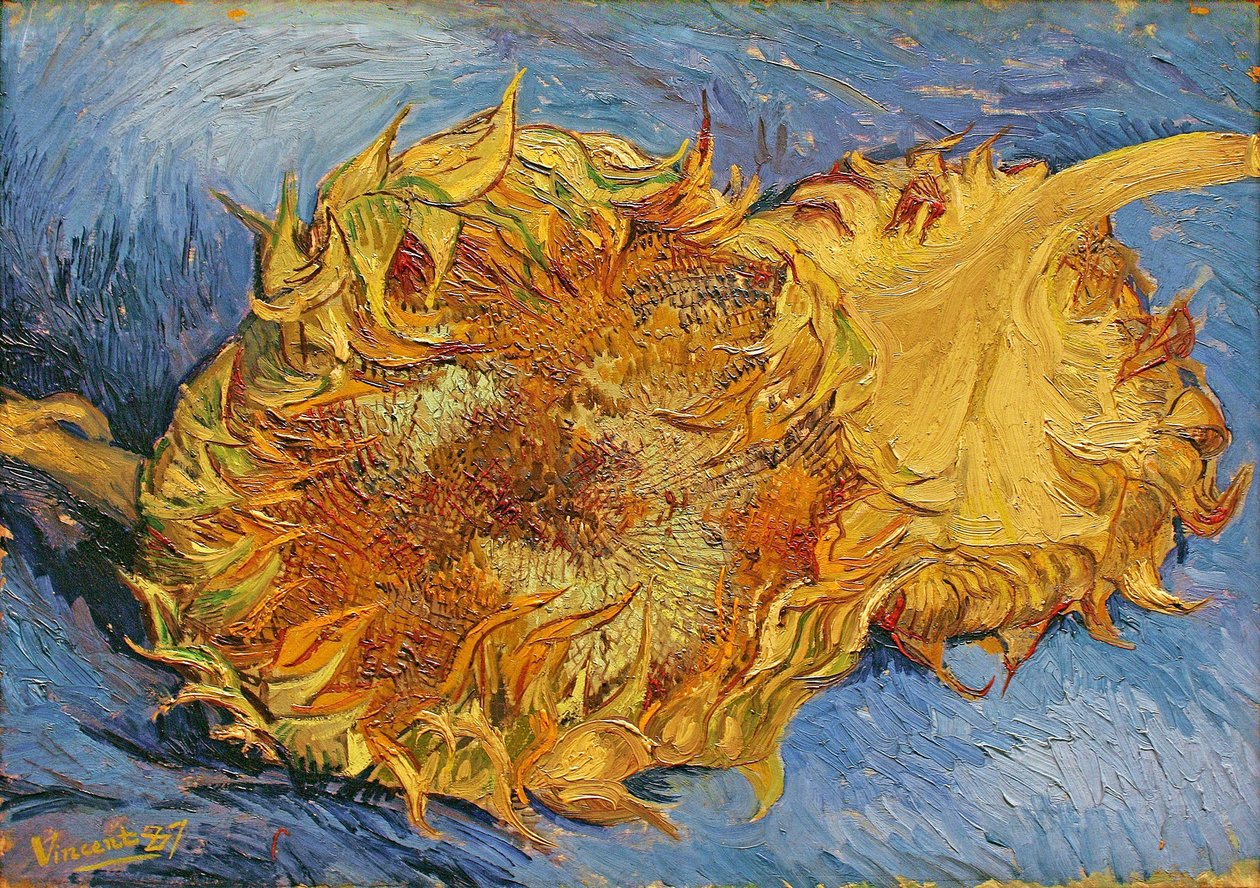 İki Kesilmiş Ayçiçeği by Vincent van Gogh