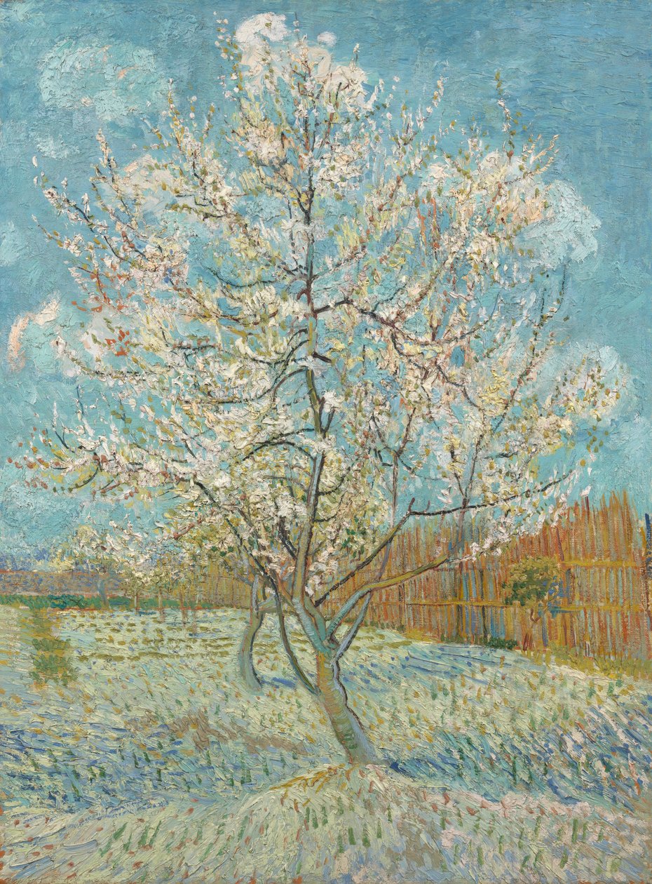 Pembe Şeftali Ağacı, 1888 by Vincent van Gogh