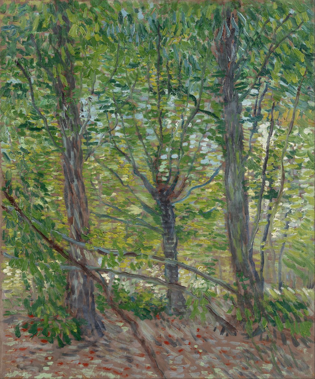 Ağaçlar by Vincent van Gogh