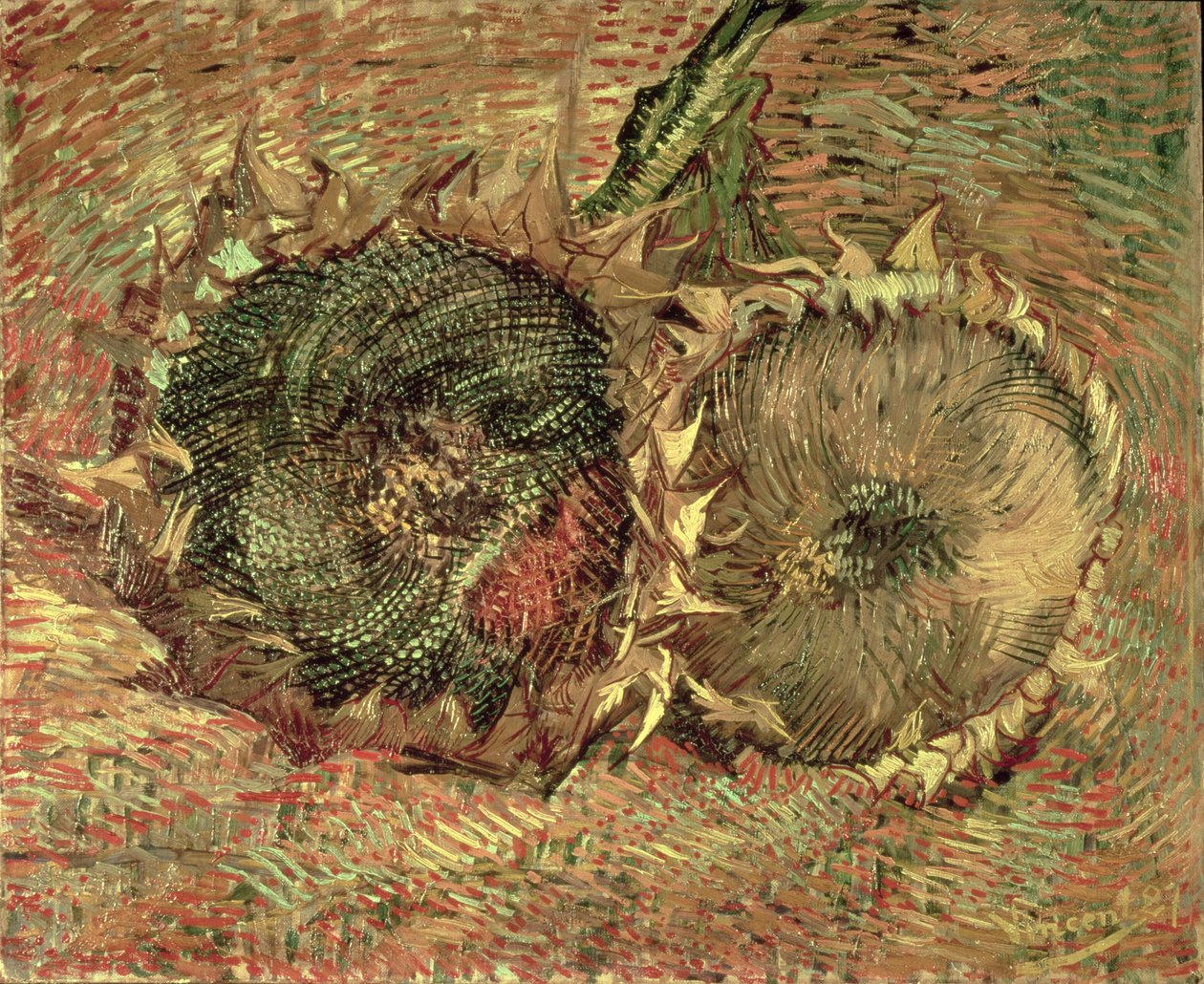 İki Kesilmiş Ayçiçeği, 1887 by Vincent van Gogh