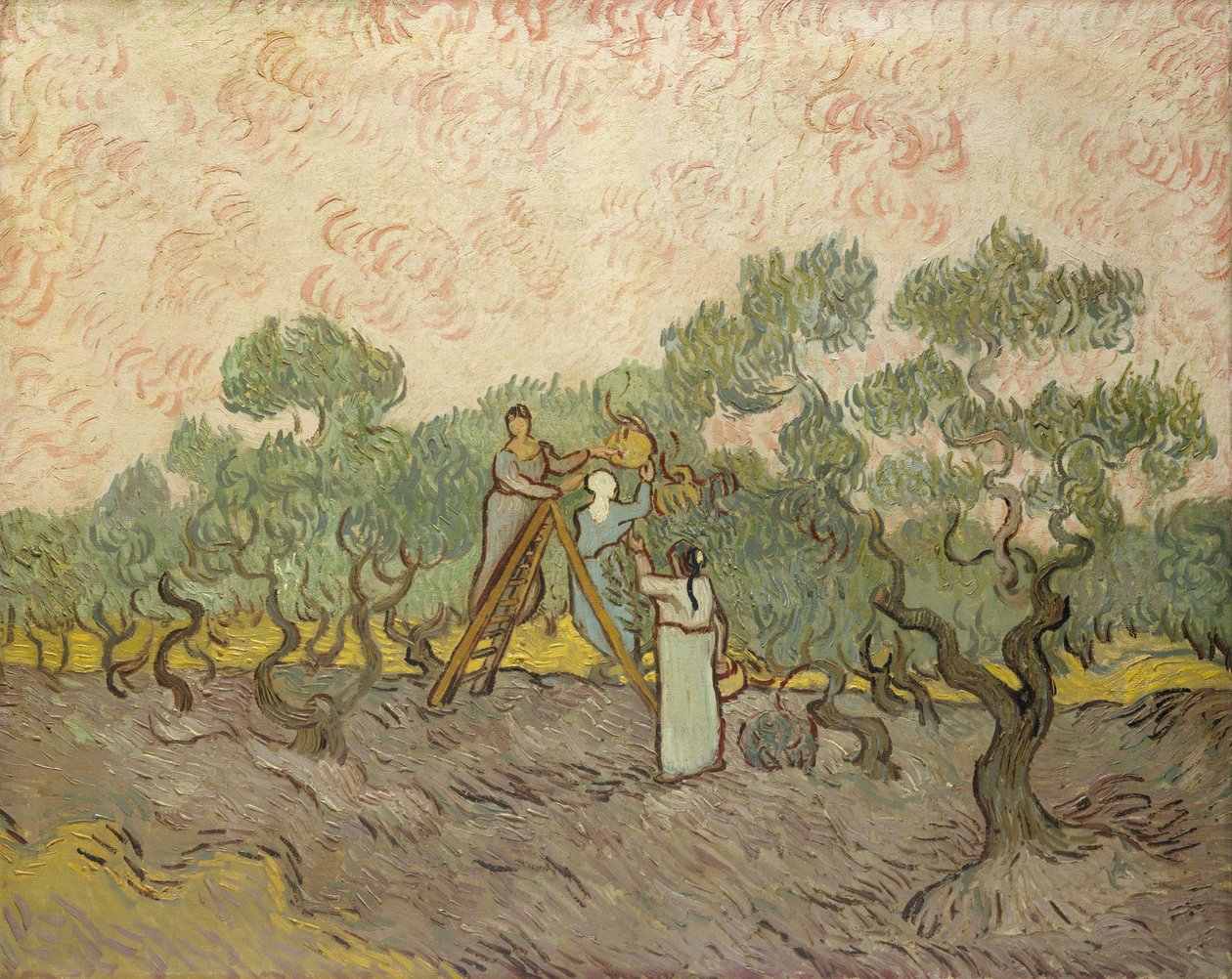 Zeytin toplayan kadınlar by Vincent van Gogh