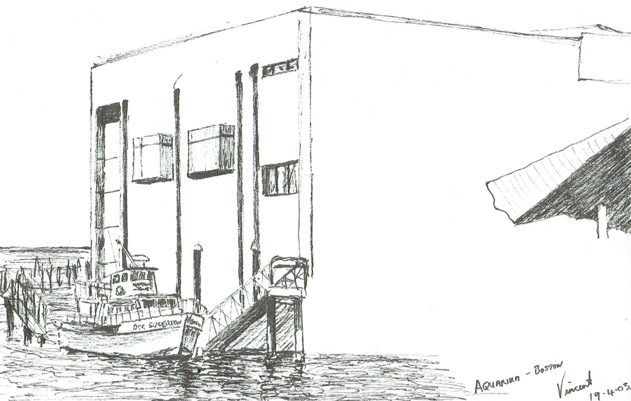 Akvaryum Boston Kitlesi, 2003 by Vincent Alexander Booth