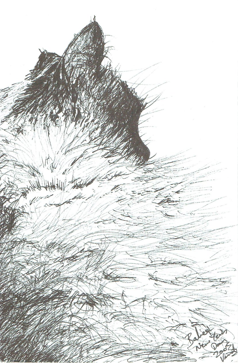 Bebek sıcak tutar Yeni Yıl, 2005 by Vincent Alexander Booth