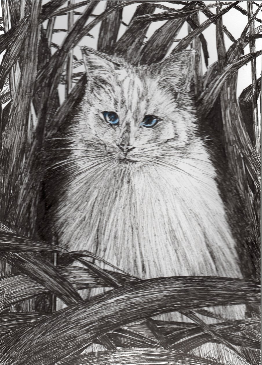 Jungle Monty, 2015, (kağıt üzerine mürekkep) by Vincent Alexander Booth