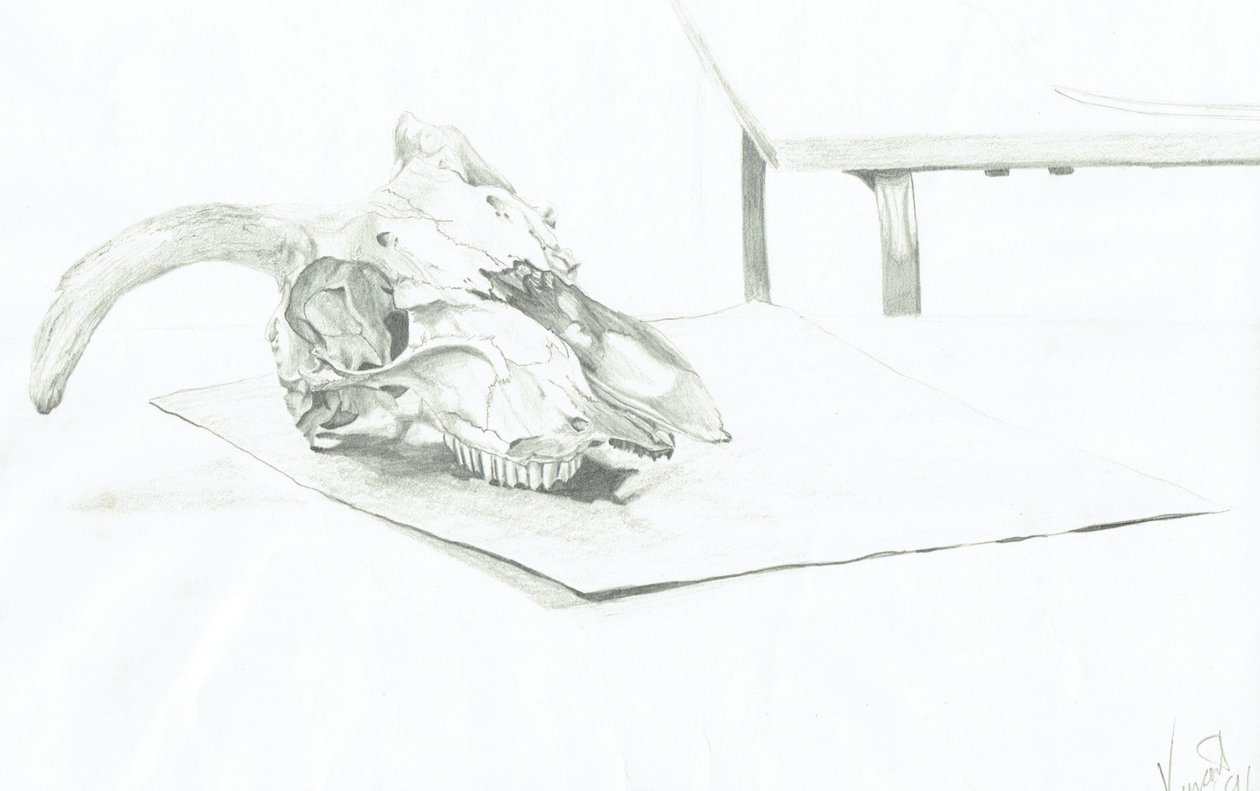 Kafatası by Vincent Alexander Booth