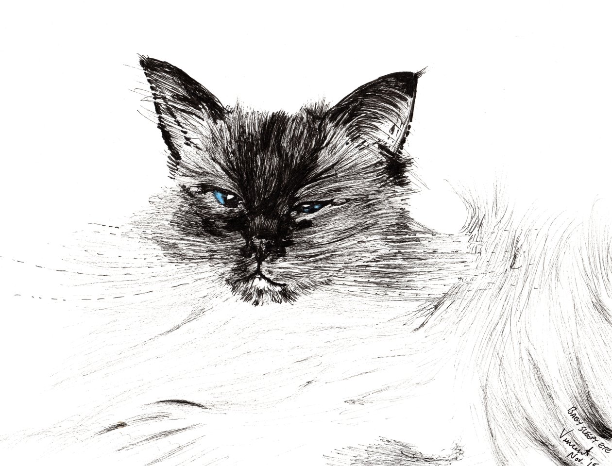 Uykulu göz, 2015, (kağıt üzerine mürekkep) by Vincent Alexander Booth
