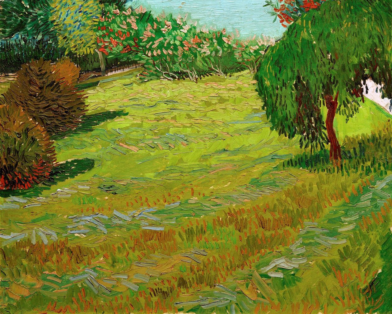 Ağlayan Söğütlü Bahçe, 1888. by Vincent van Gogh
