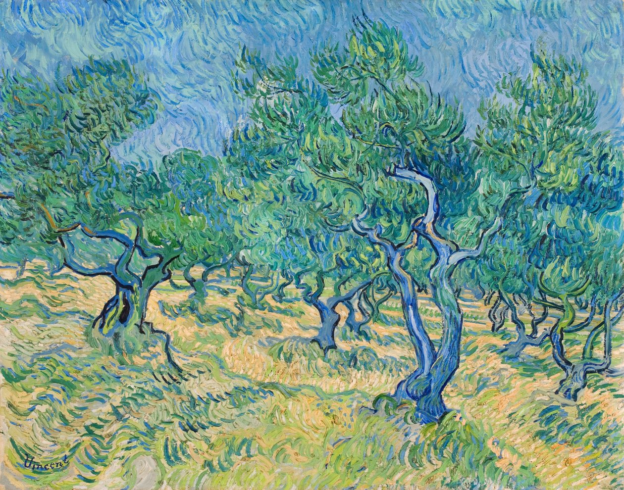 Zeytinlik, 1889. by Vincent van Gogh