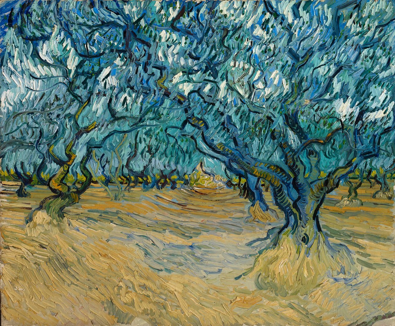 Zeytinlik, Saint-Rémy, 1889. by Vincent van Gogh