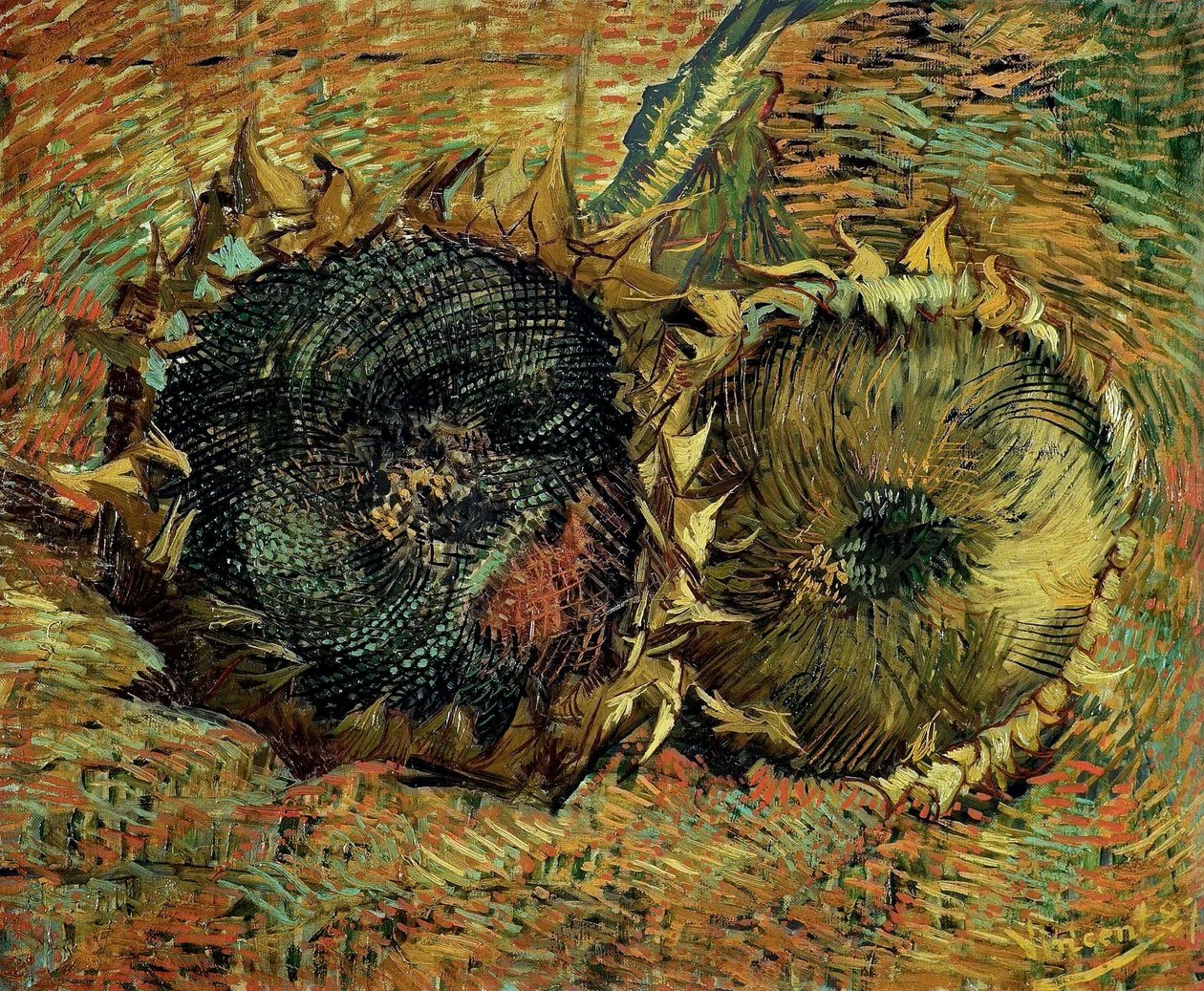 İki kesilmiş ayçiçeği, 1887. by Vincent van Gogh