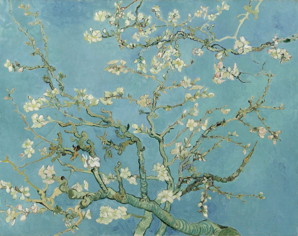 Badem çiçeği by Vincent van Gogh