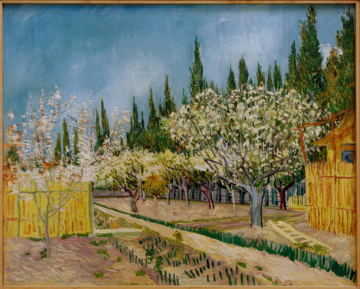 Selvi ağaçlarıyla çevrili çiçek açan meyve bahçesi by Vincent van Gogh