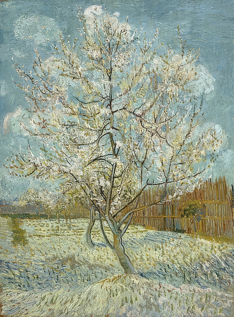 Çiçek açan şeftali ağacı (pembe). Arles, Nisan-Mayıs 1888 by Vincent van Gogh