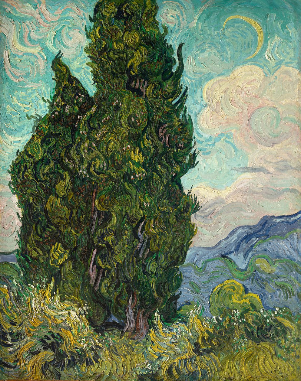 Selviler, 1889. by Vincent van Gogh