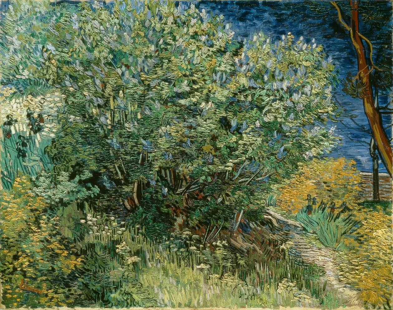 leylak çalı by Vincent van Gogh