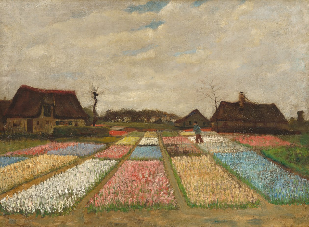 Hollanda