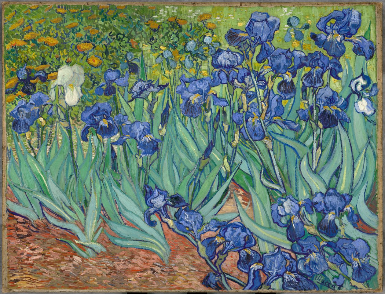 süsen by Vincent van Gogh