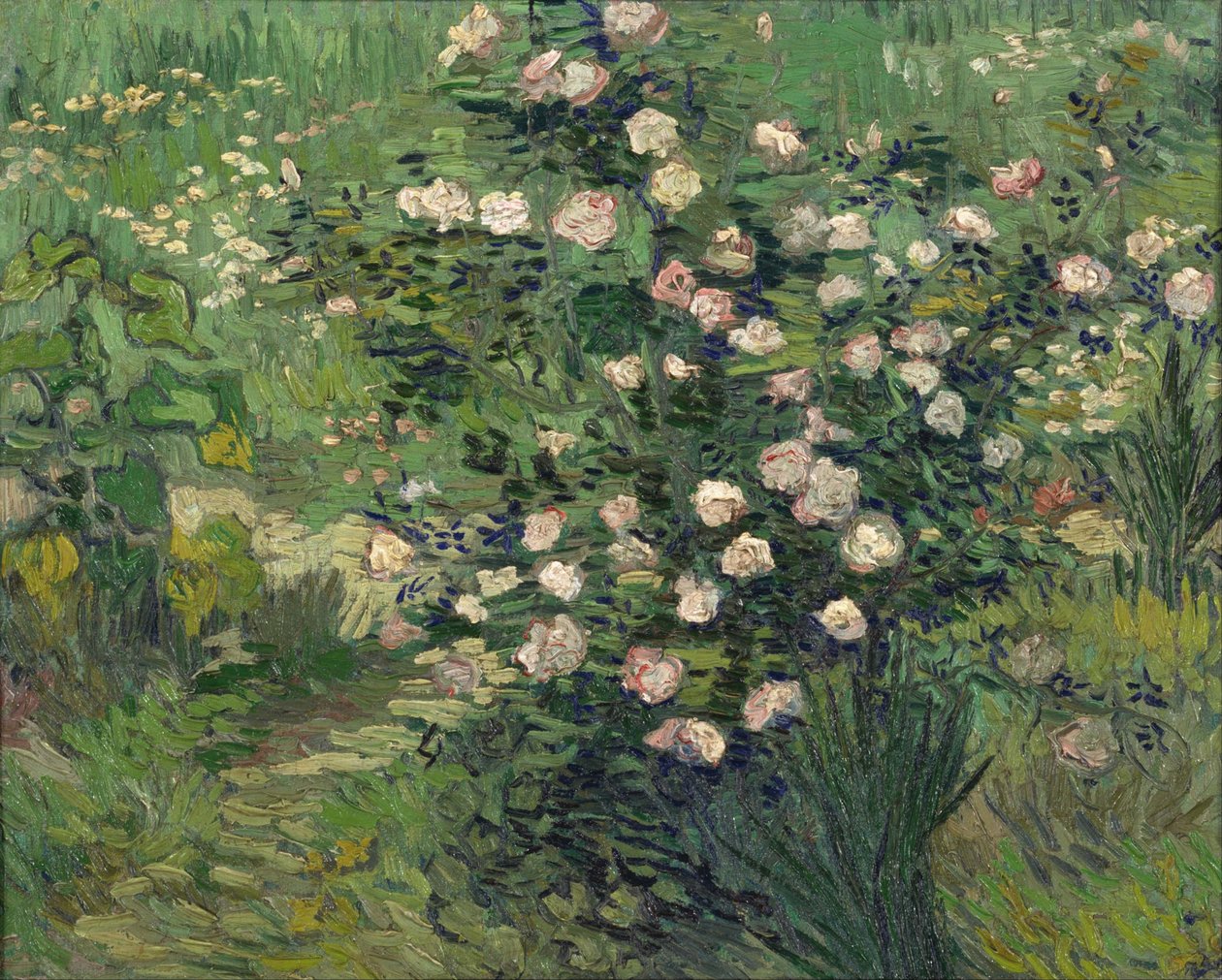 Güller, 1889 by Vincent van Gogh