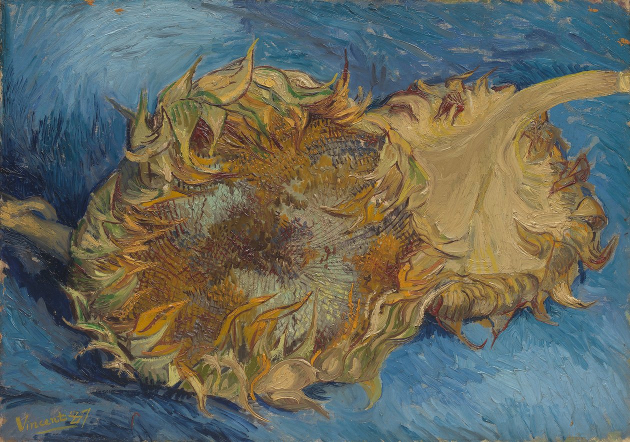 Ayçiçekleri, 1887. by Vincent van Gogh
