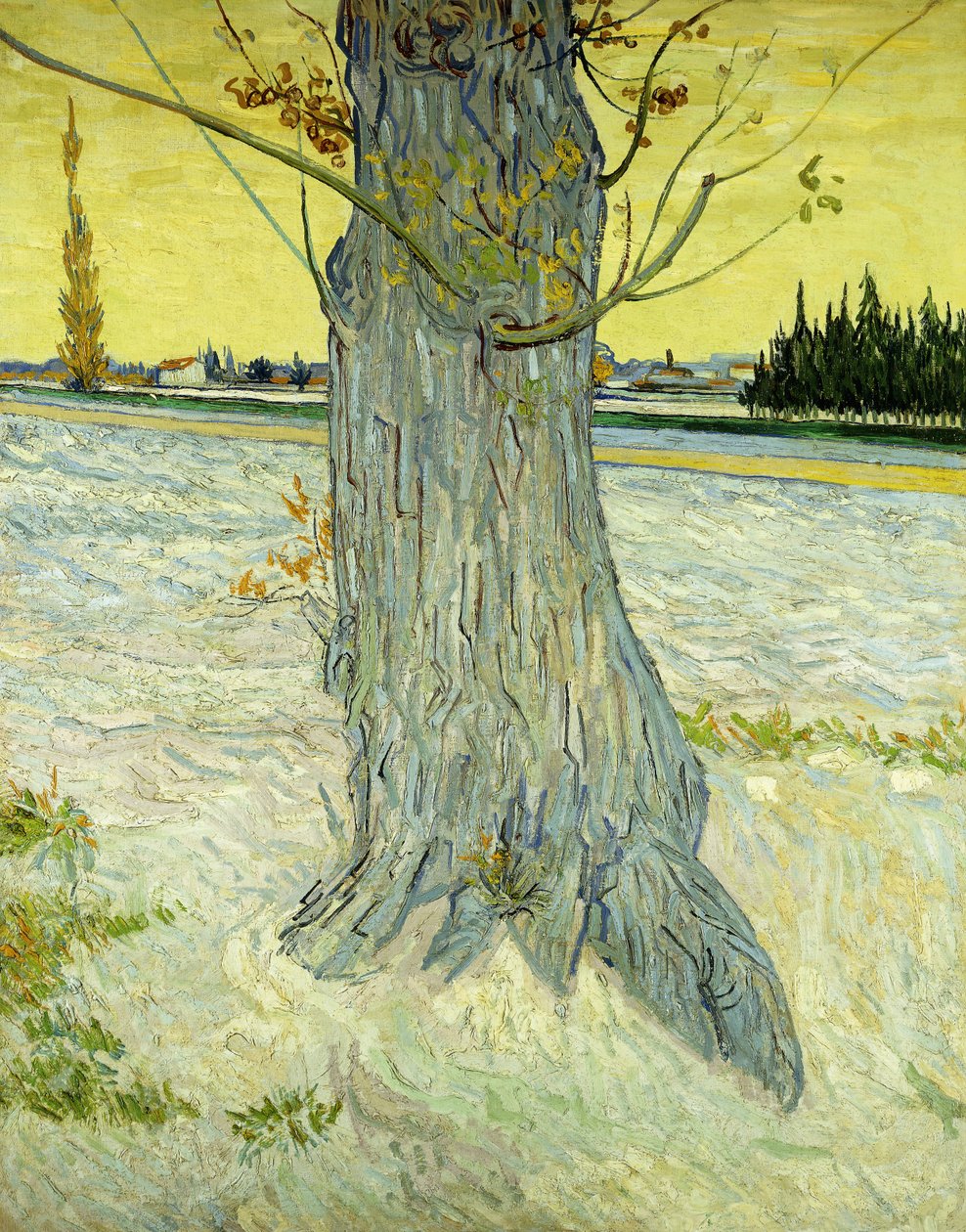 Yaşlı Ağaç; Le Vieil Eğer by Vincent van Gogh