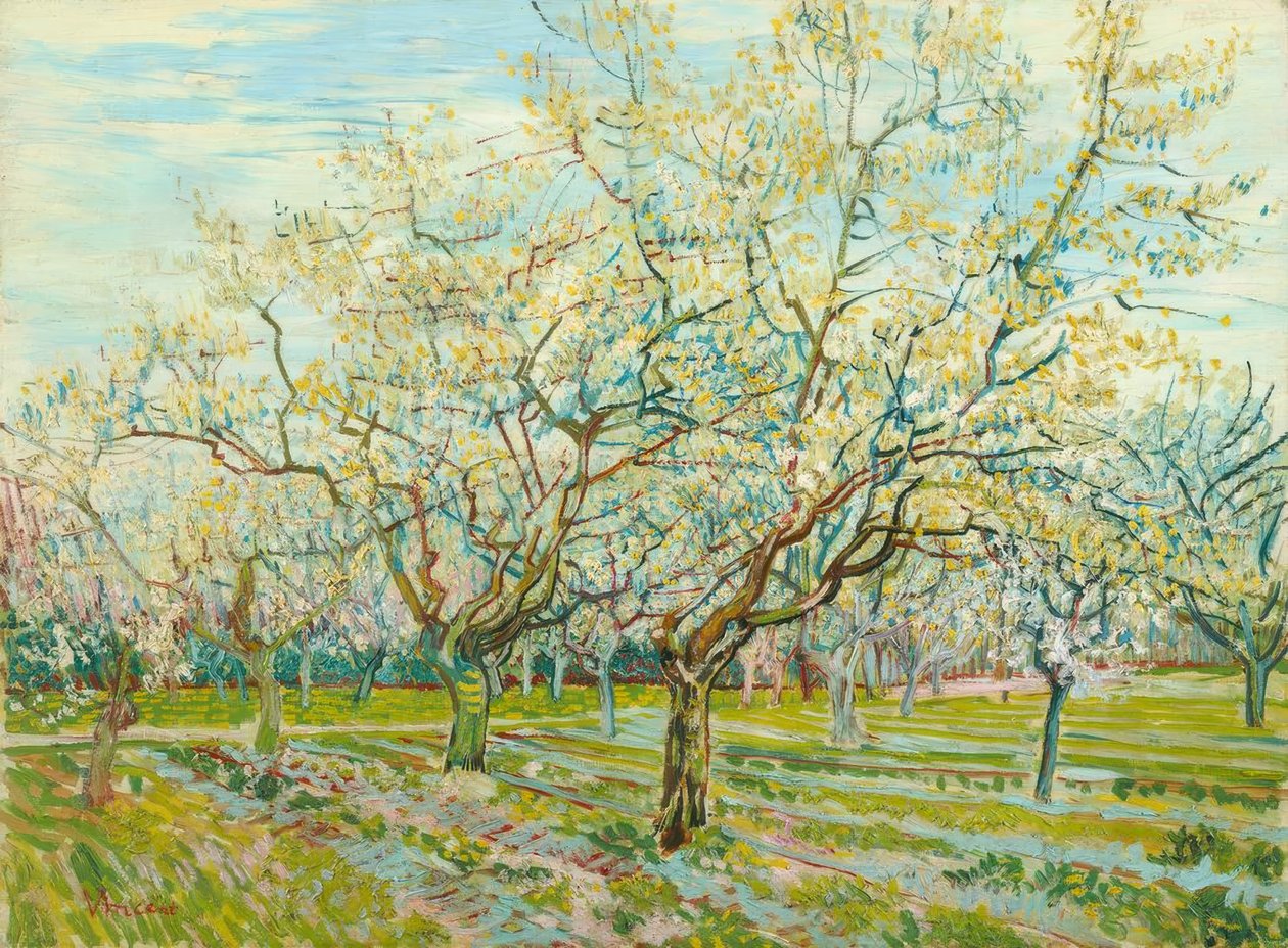 V. van Gogh, Beyaz Meyve Bahçesi by Vincent van Gogh