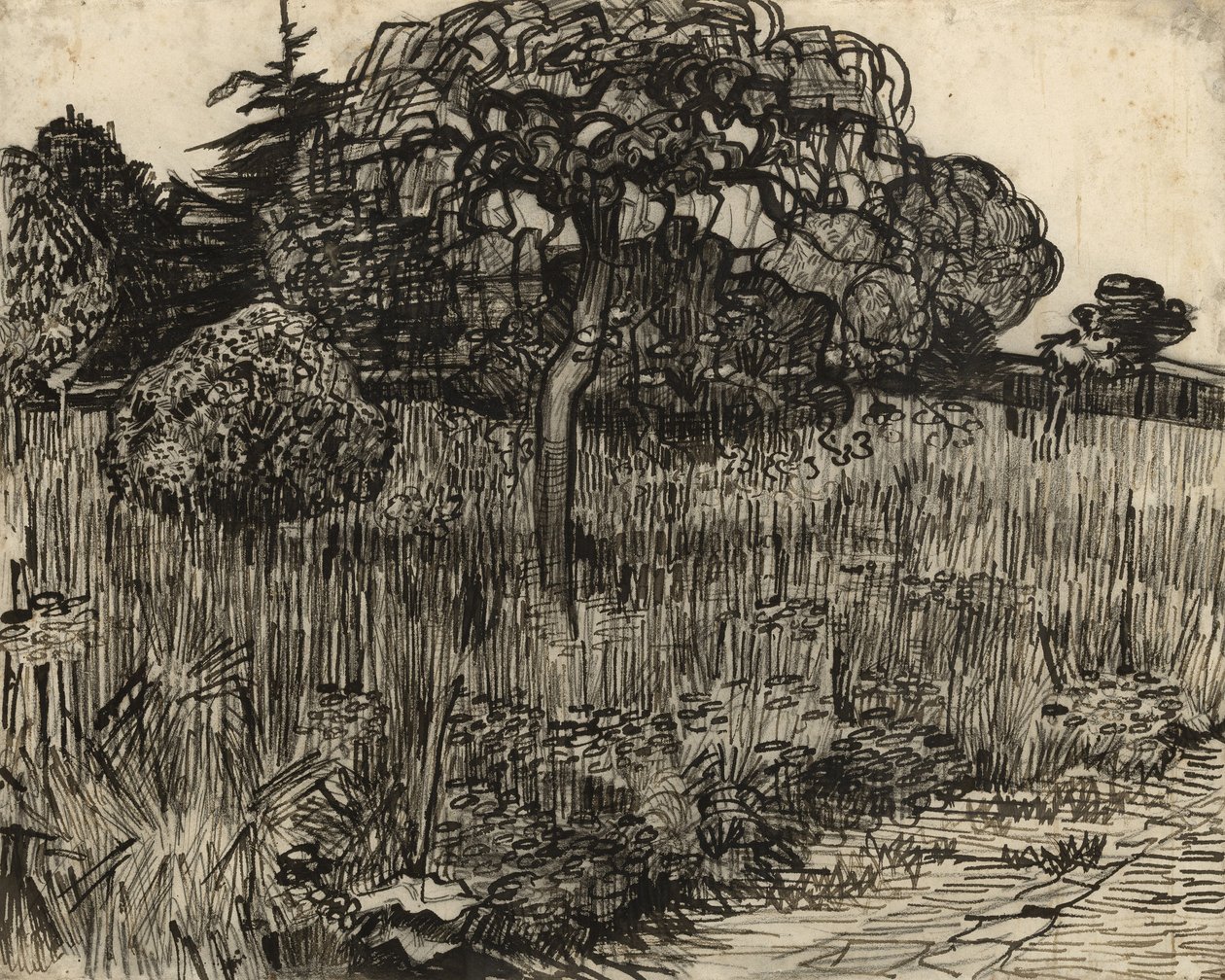Ağlayan Ağaç, 1889 by Vincent van Gogh