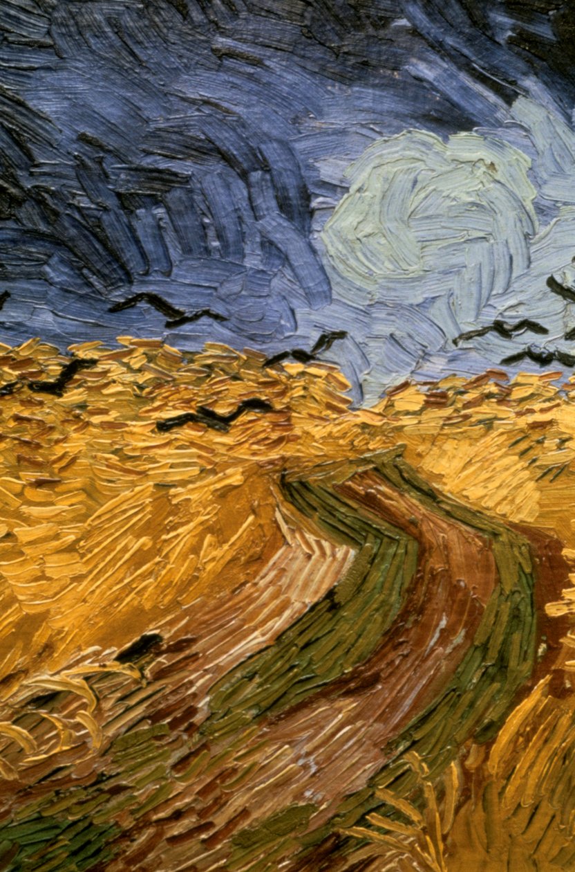Kargalı Buğday Tarlası, detay 1890. by Vincent van Gogh