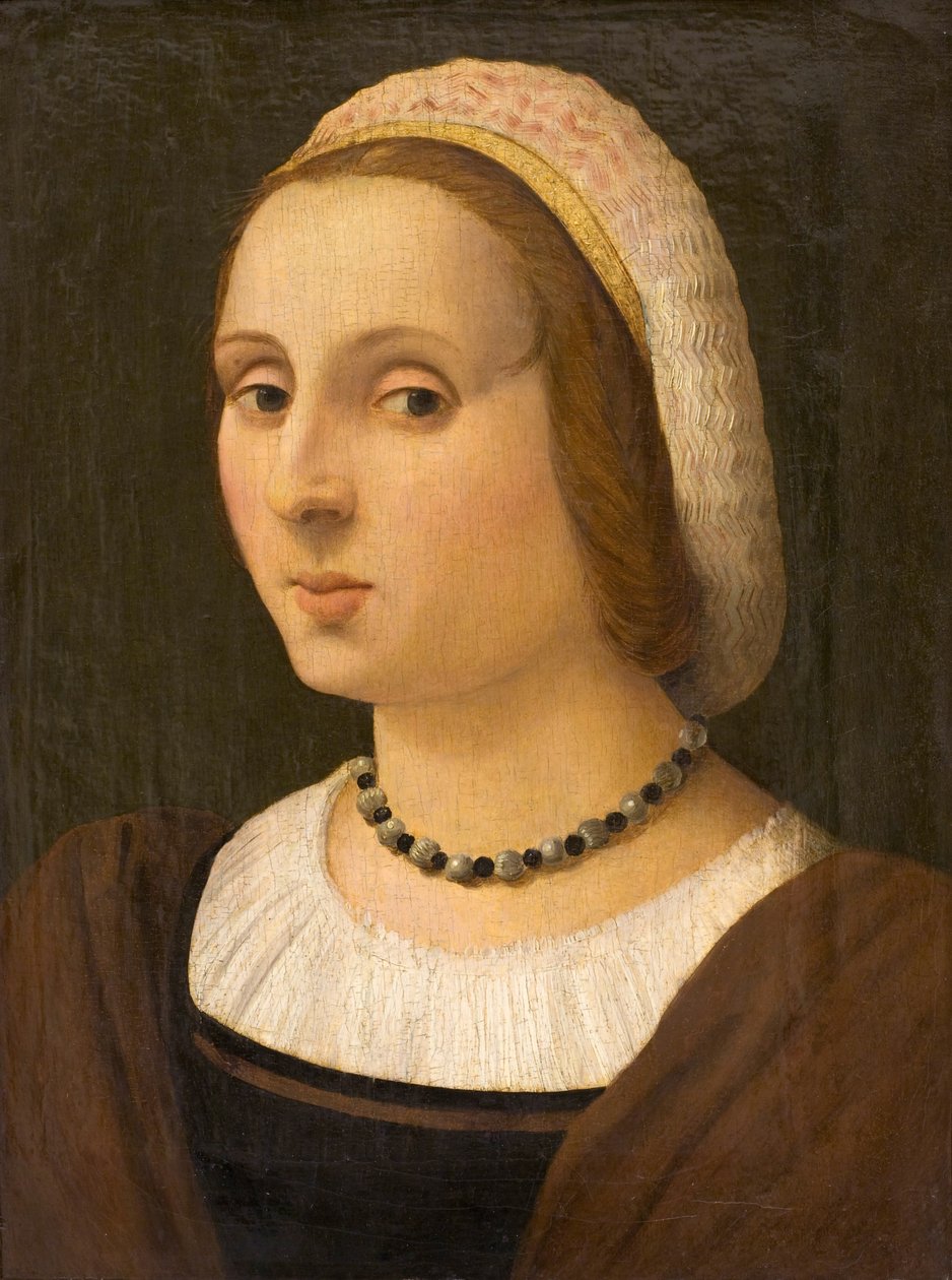 Bir Bayan Portresi by Vincenzo Tamagni