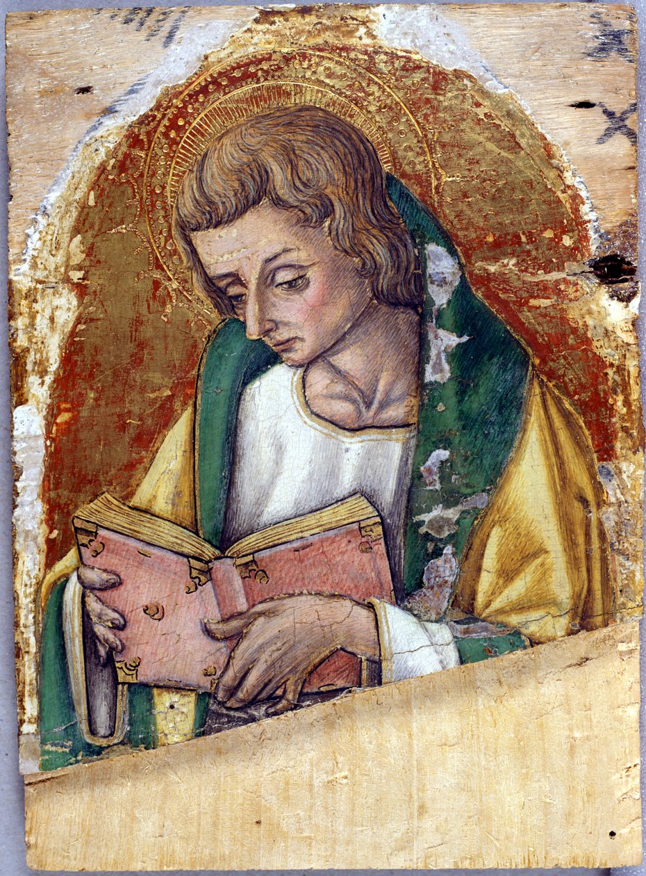 John the Evangelist, c.1500 (kavak ağacı üzerinde tempera) by Vittore Crivelli