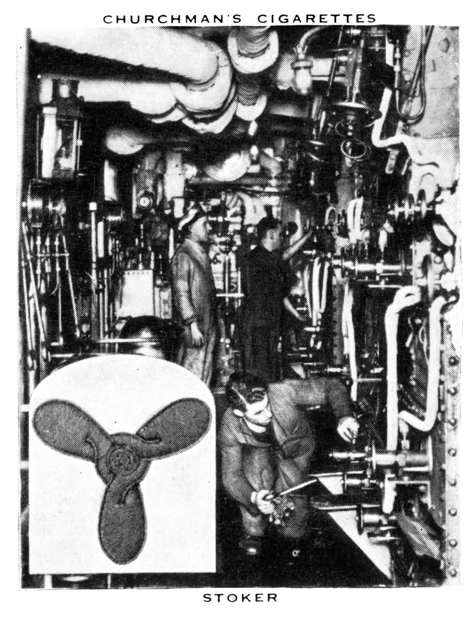 Stoker, 1937. by WA and AC Churchman
