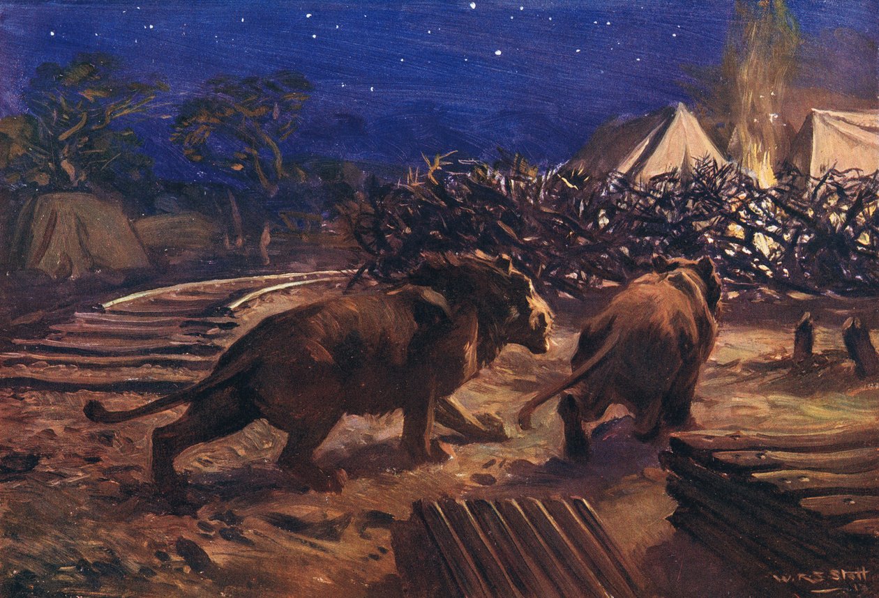 Demiryolu işçisinin düşmanı by W.R.S. Stott